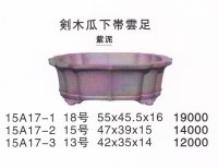 Middle size pot