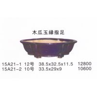 Middle size pot