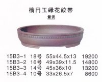 Middle size pot