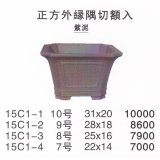 Middle size pot