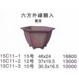 Middle size pot