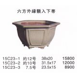 Middle size pot