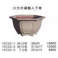 Middle size pot