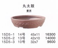 Middle size pot