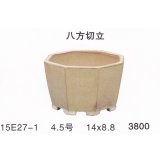 Small size pot