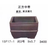 Small size pot