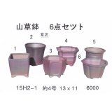 bonsai pot set