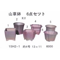 bonsai pot set