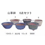 bonsai pot set