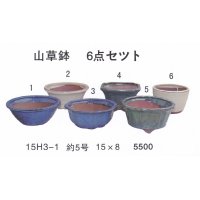 bonsai pot set