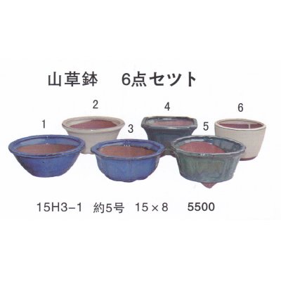 Photo1: bonsai pot set