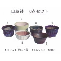 bonsai pot set