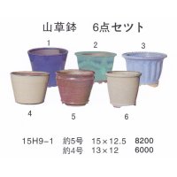 bonsai pot set