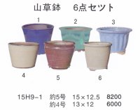 bonsai pot set