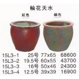 Lotus basin/Goldfish　basin