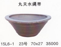 Lotus basin/Goldfish　basin