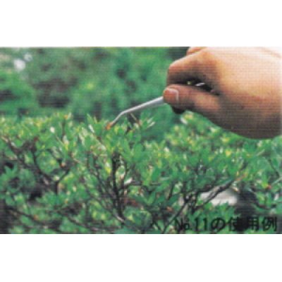 Photo2: Bonsai tweezers / Straight (MASAKUNI)