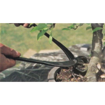 Photo2: Root cutter / Large size (MASAKUNI)