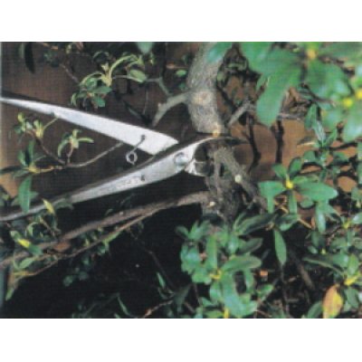 Photo3: Concave branch cutter / Small size / Spherical blade (MASAKUNI)