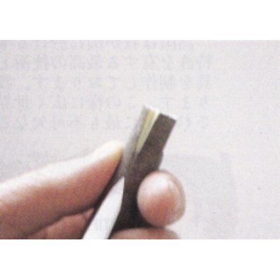 Photo2: Grafting chisel for Camelia Tsubaki (MASAKUNI)