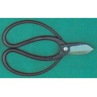 Gardening shears for flowering (MASAKUNI)