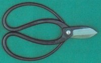 Gardening shears for flowering (MASAKUNI)