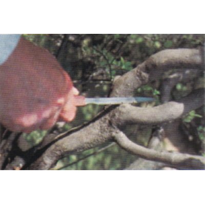 Photo2: Pruning saw / Extra narrow (MASAKUNI)