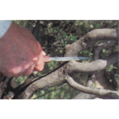 Photo2: Pruning saw / Extra narrow (MASAKUNI)