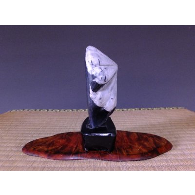 Photo5: Suiseki / Kikka-seki (with one pedestal)