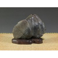 Suiseki / Setagawa-ishi (with one pedestal)