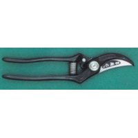 Pruning shears / Professional (MASAKUNI)