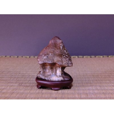 Photo5: Suiseki / Abegawa-ishi ： Kuzuya-ishi (with one pedestal)