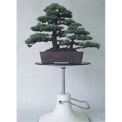 Photo2: Bonsai hydraulic lift turntable (MASAKUNI)