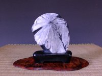 Suiseki / Kikka-seki (with one pedestal)