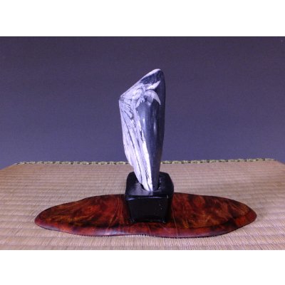 Photo6: Suiseki / Kikka-seki (with one pedestal)