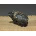 Photo1: Suiseki / Kamogawa-ishi ： Frog shaped stone (with one pedestal) (1)