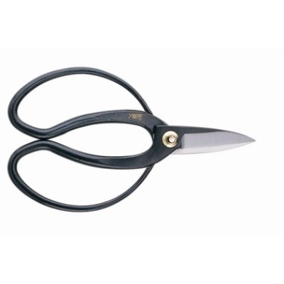 Photo1: Professional pruning shears