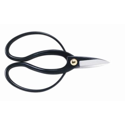 Photo1: Pruning shears