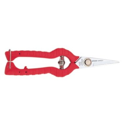 Photo1: Stainless steel vegetable gardening shears