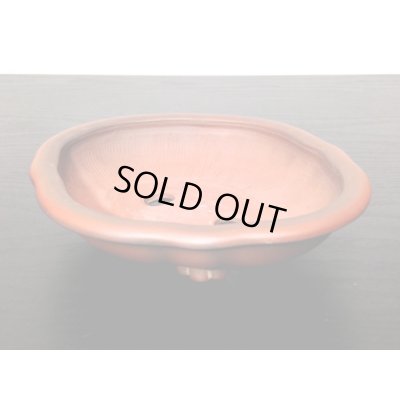 Photo6: "Bigei" Tokoname Pot / Japanese Bonsai Pot