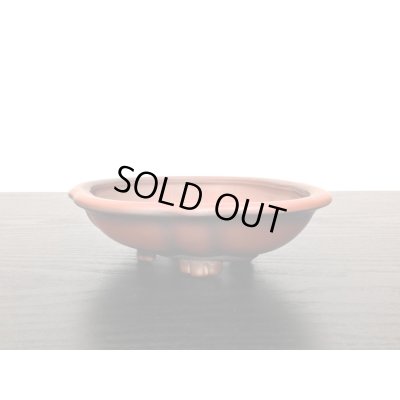 Photo8: "Bigei" Tokoname Pot / Japanese Bonsai Pot