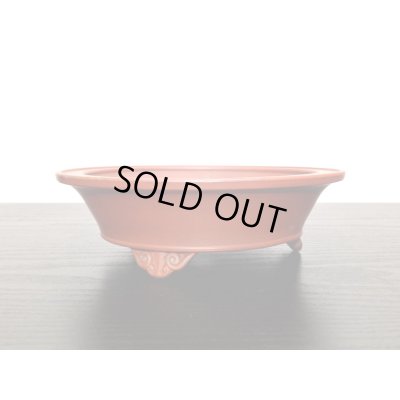 Photo5: "Bigei" Tokoname Pot / Japanese Bonsai Pot