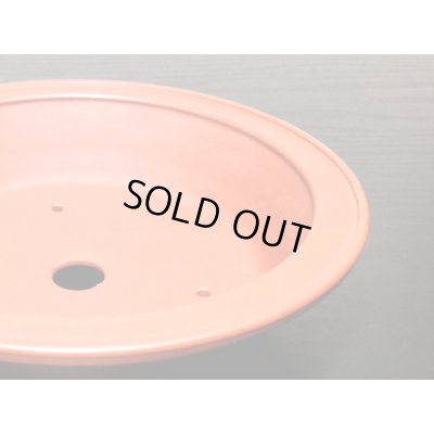 Photo8: "Bigei" Tokoname Pot / Japanese Bonsai Pot