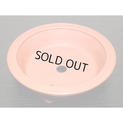 Photo6: "Bigei" Tokoname Pot / Japanese Bonsai Pot