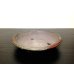 Photo3: "Shosen Jyuodo" Tokoname Pot / Japanese Bonsai Pot