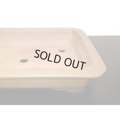 Photo6: "Gyozan" Tokoname Pot / Japanese Bonsai Pot