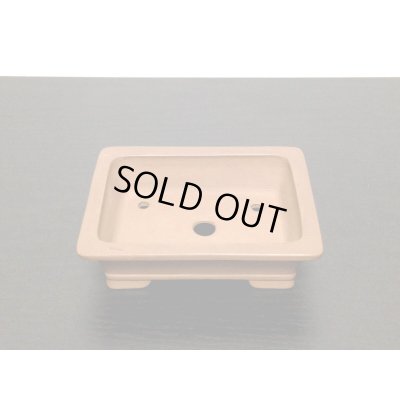 Photo8: "Gyozan" Tokoname Pot / Japanese Bonsai Pot