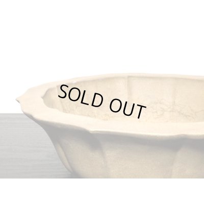 Photo6: Bonsai Pot / Rinka