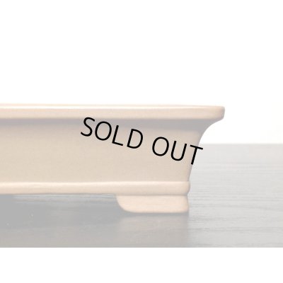 Photo6: "Gyozan" Tokoname Pot / Japanese Bonsai Pot