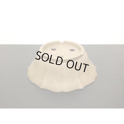 Photo3: Bonsai Pot / Rinka